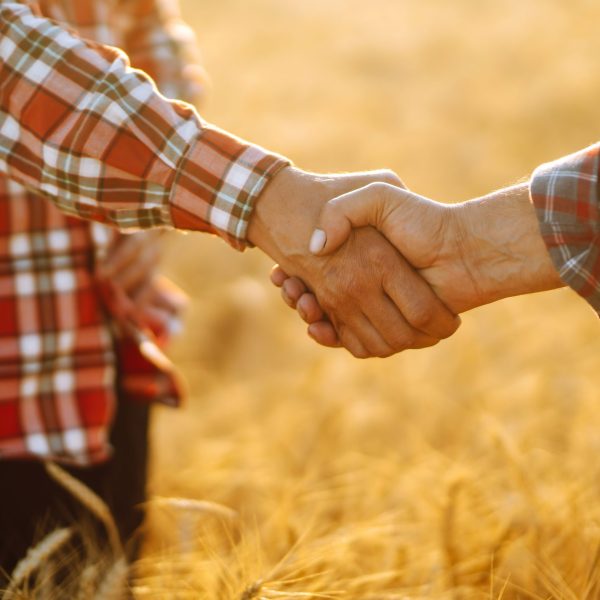 Handshake of two farmer. Successful businessmen handshaking afte